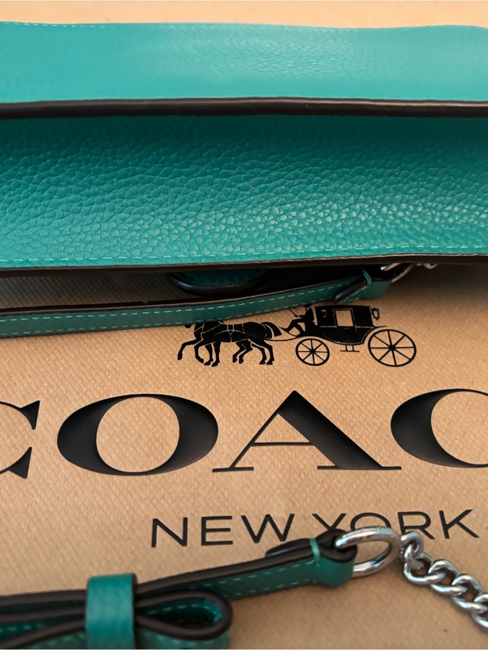 Coach Turquoise Leather C-Logo Chain Crossbody - Picture 4 of 11
